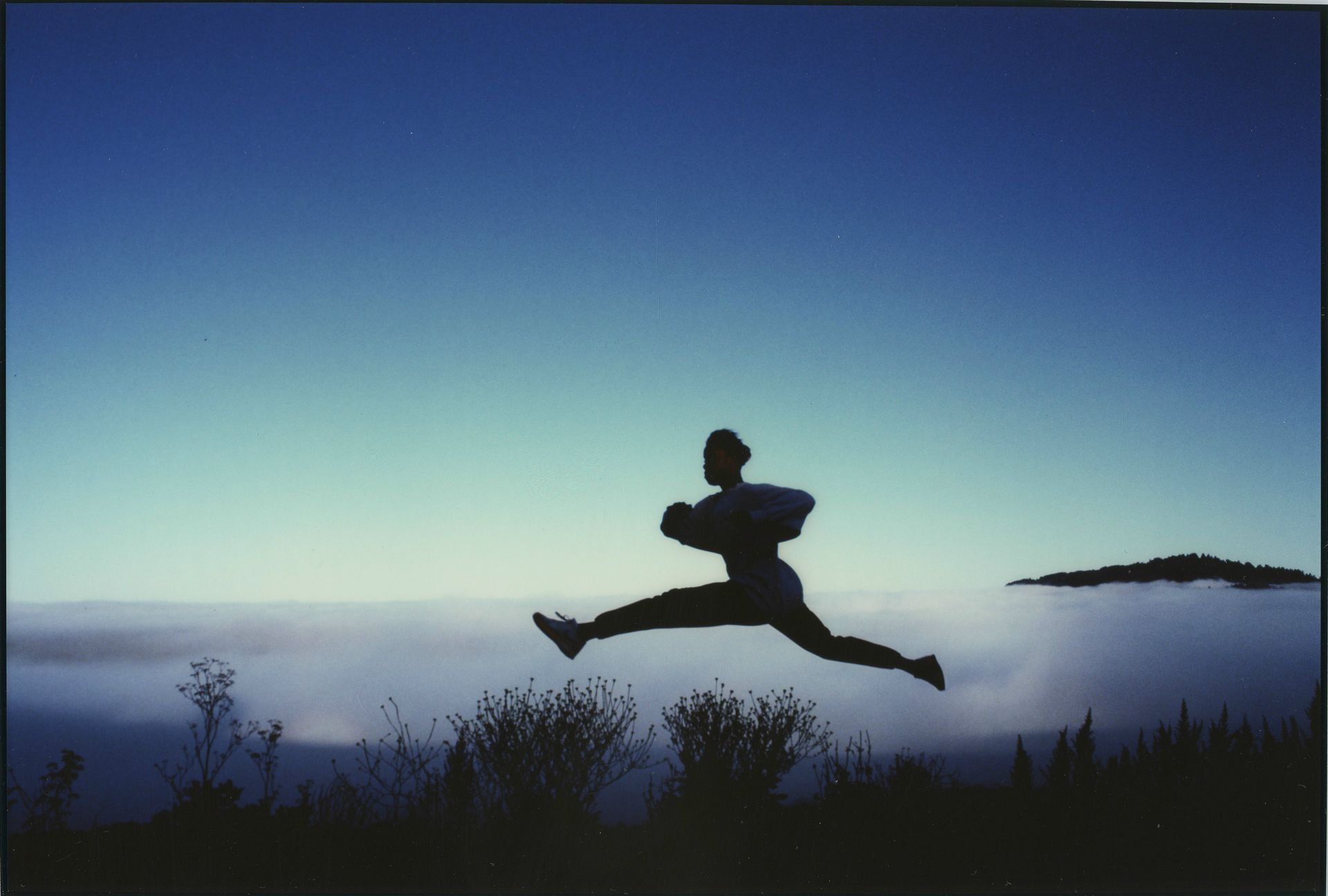 A Amplo Sacada. Dicas, Privilégios E Jeito De Usar
