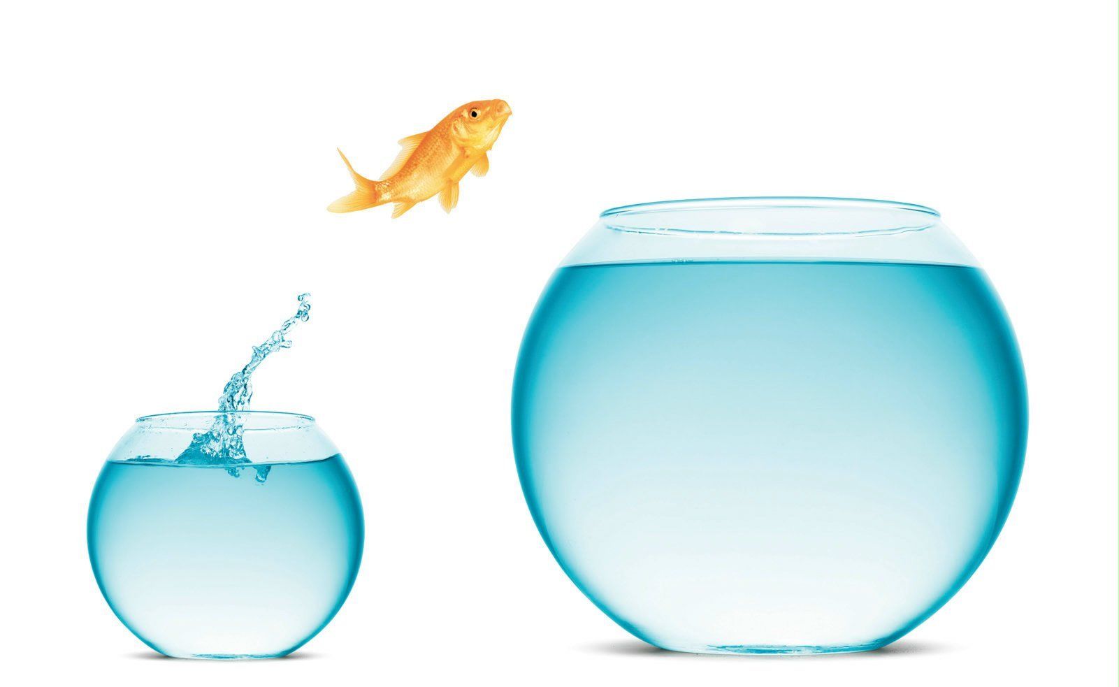 A diferença entre vinho vermelho e branco